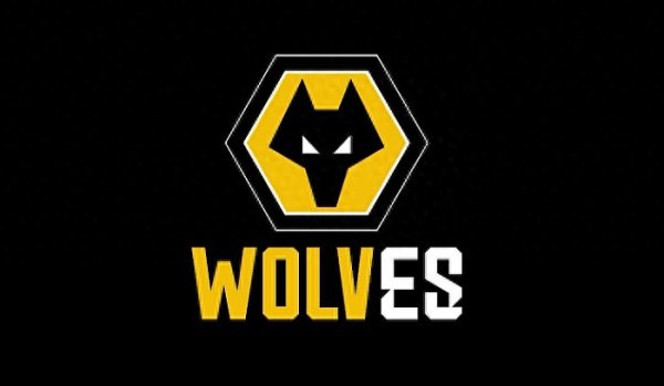 传狼队有意出售黄喜灿和法比奥-席尔瓦, 球员的态度是能否交易成功的关键